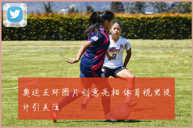 奥运五环图片创意亮相 体育视觉设计引关注