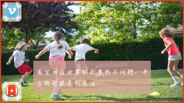 淘宝回应世界杯彩票购买问题,平台购彩服务引关注