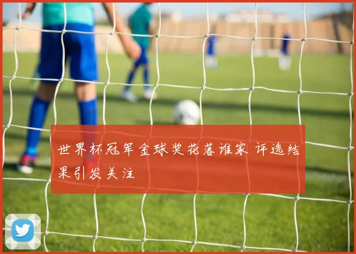 世界杯冠军金球奖花落谁家 评选结果引发关注