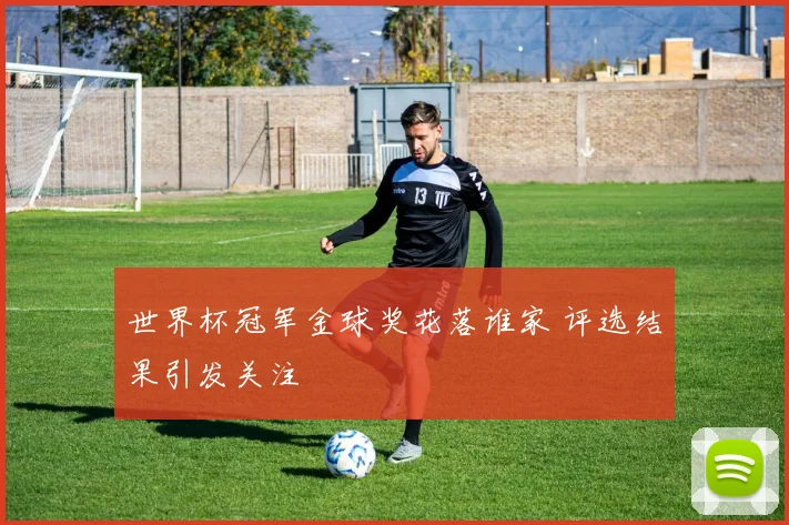 世界杯冠军金球奖花落谁家 评选结果引发关注