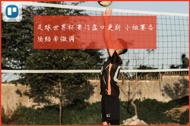 足球世界杯澳门盘口更新 小组赛各场赔率微调