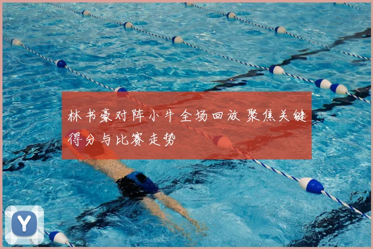 林书豪对阵小牛全场回放 聚焦关键得分与比赛走势