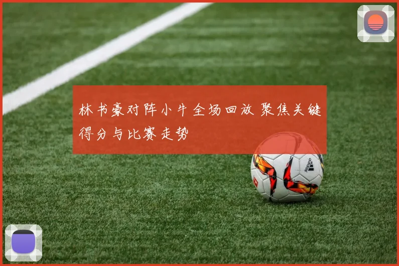 林书豪对阵小牛全场回放 聚焦关键得分与比赛走势